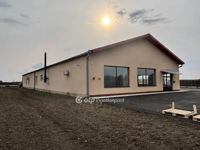 Kiadó kereskedelmi és ipari ingatlan Gyula 672 nm