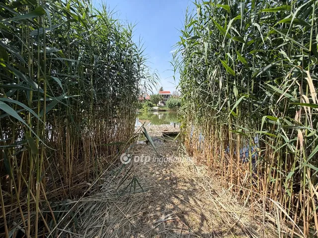 Eladó telek Gyomaendrőd 5407 nm