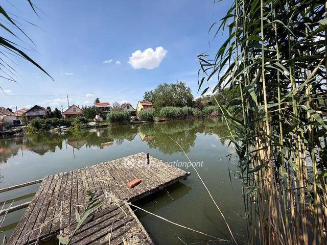Eladó telek Gyomaendrőd 5407 nm
