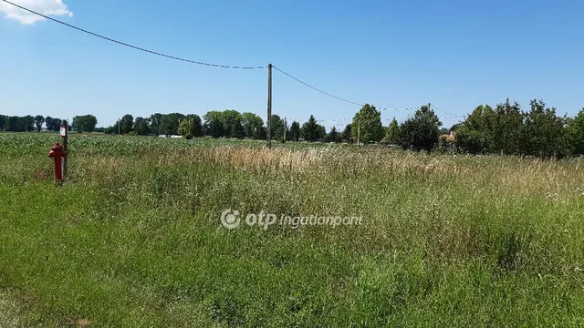 Eladó telek Baksa, családi házas 968 nm