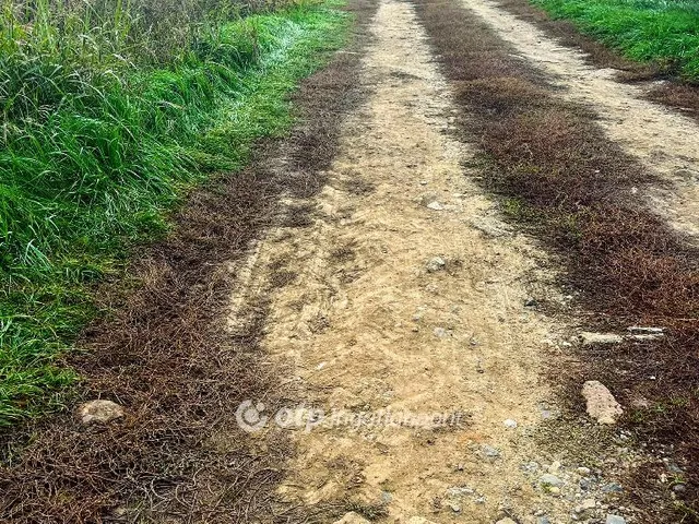 Eladó telek Pécs, Nagyárpád 2550 nm