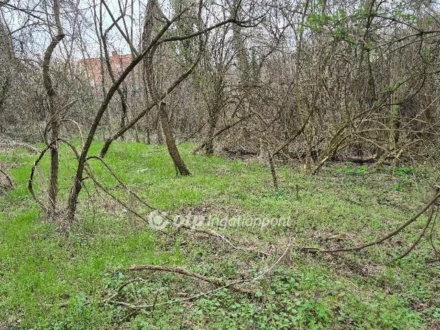 Eladó mezőgazdasági ingatlan Pellérd 4899 nm