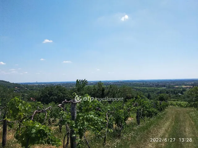 Eladó mezőgazdasági ingatlan Siklós 7000 nm