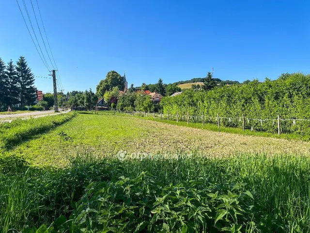 Eladó telek Bakonyszentkirály 1000 nm