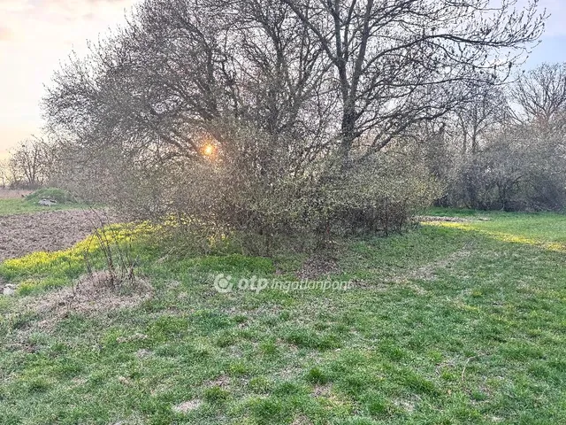 Eladó telek Vadosfa 2298 nm