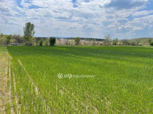 Eladó mezőgazdasági ingatlan Fót 28770 nm