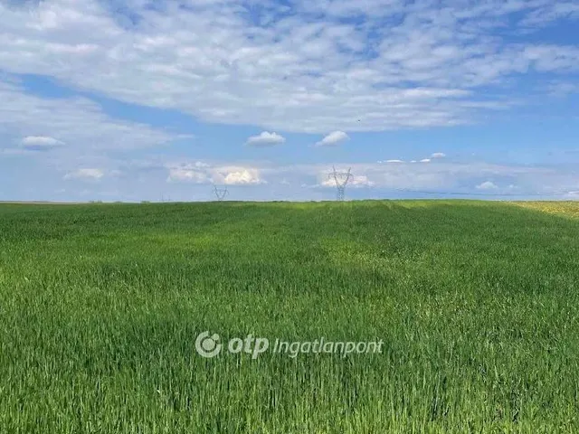 Eladó mezőgazdasági ingatlan Fót 28770 nm