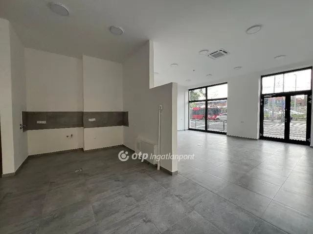 Kiadó kereskedelmi és ipari ingatlan Budapest VI. kerület, Terézváros 113 nm