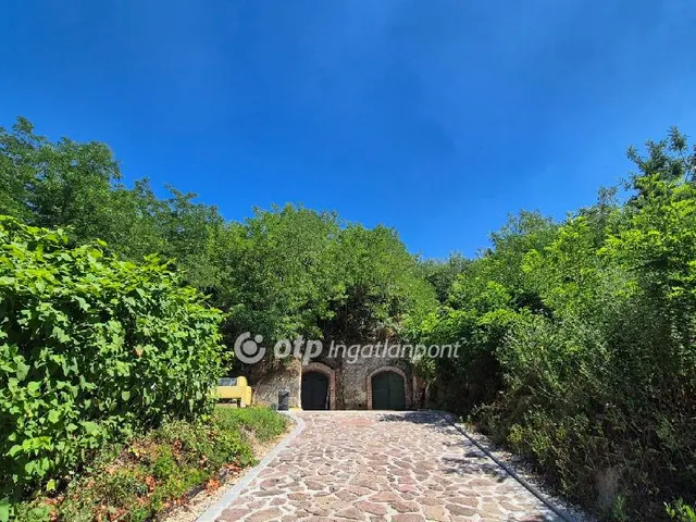 Eladó kereskedelmi és ipari ingatlan Szomolya 431 nm