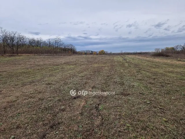 Eladó telek Hajdúsámson, Kertváros 895 nm