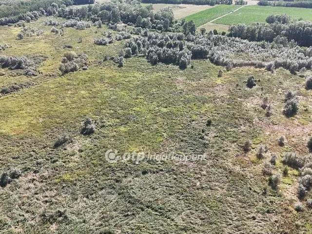 Eladó mezőgazdasági ingatlan Létavértes, Nagyléta 150 nm