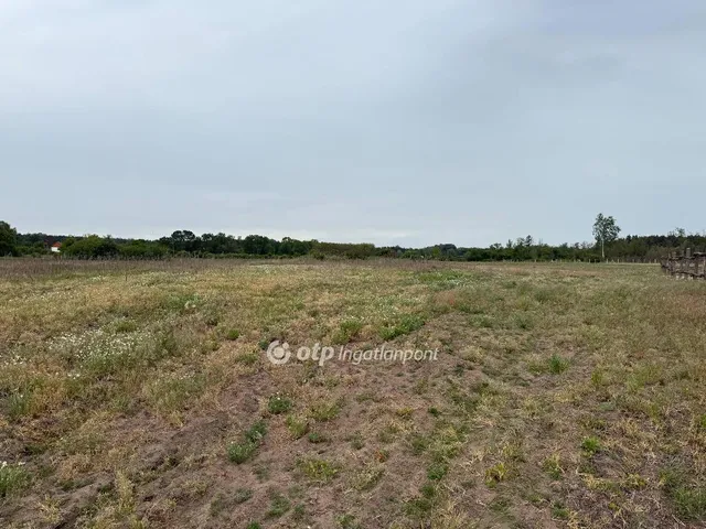 Eladó mezőgazdasági ingatlan Debrecen 100000 nm