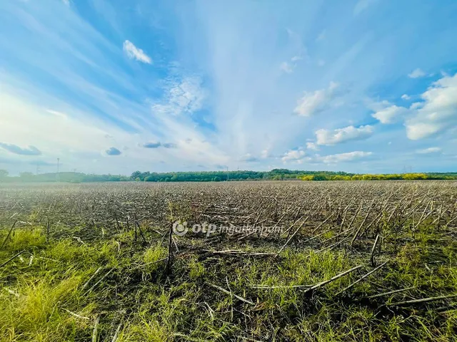 Eladó telek Debrecen, Pallag 3080 nm