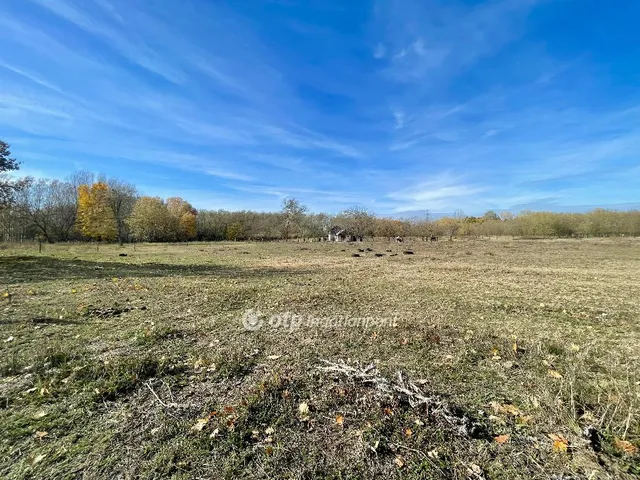 Eladó telek Hosszúpályi 1000 nm