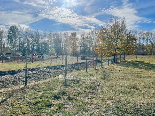 Eladó telek Hosszúpályi 1000 nm