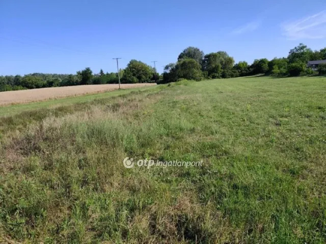 Eladó telek Sáránd 36000 nm