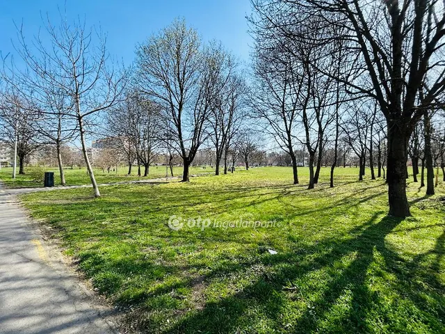 Eladó lakás Debrecen 61 nm