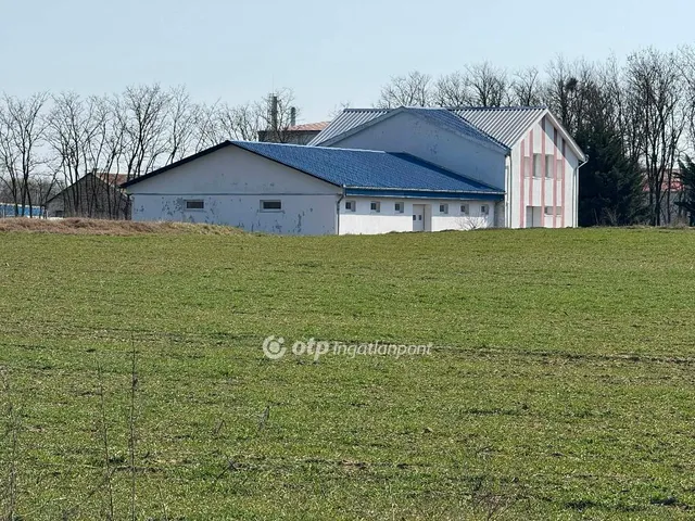 Eladó kereskedelmi és ipari ingatlan Hajdúsámson 74158 nm