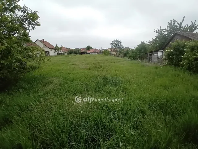 Eladó telek Berettyóújfalu 2384 nm