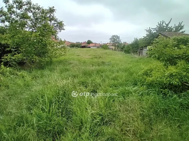 Eladó telek Berettyóújfalu 2384 nm