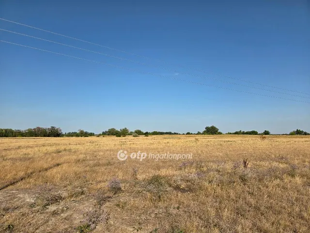 Eladó telek Balmazújváros 26730 nm