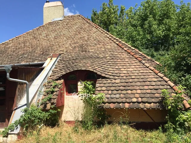 Eladó kereskedelmi és ipari ingatlan Gyula 187 nm