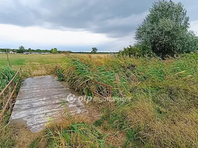 Eladó mezőgazdasági ingatlan Tóalmás 1100000 nm