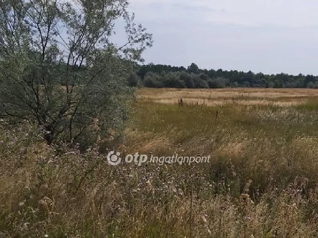 Eladó mezőgazdasági ingatlan Újlőrincfalva 1000 nm