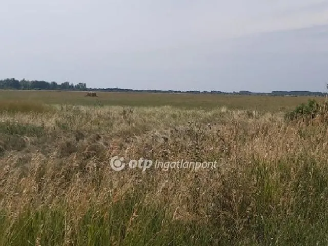 Eladó mezőgazdasági ingatlan Újlőrincfalva, Külterület 1000 nm