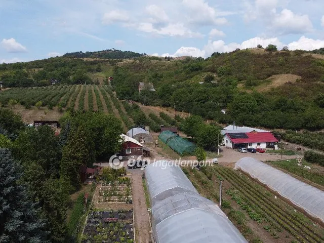 Eladó mezőgazdasági ingatlan Putnok 267400 nm