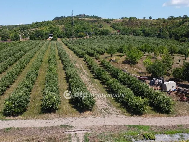 Eladó mezőgazdasági ingatlan Putnok 267400 nm