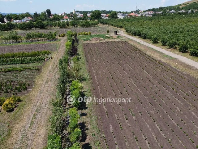 Eladó mezőgazdasági ingatlan Putnok 267400 nm