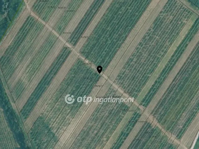 Eladó mezőgazdasági ingatlan Tarcal 47600 nm