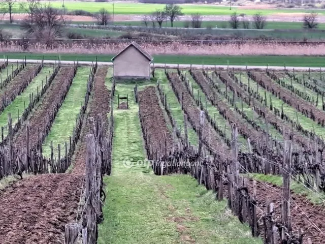 Eladó mezőgazdasági ingatlan Tarcal 47600 nm