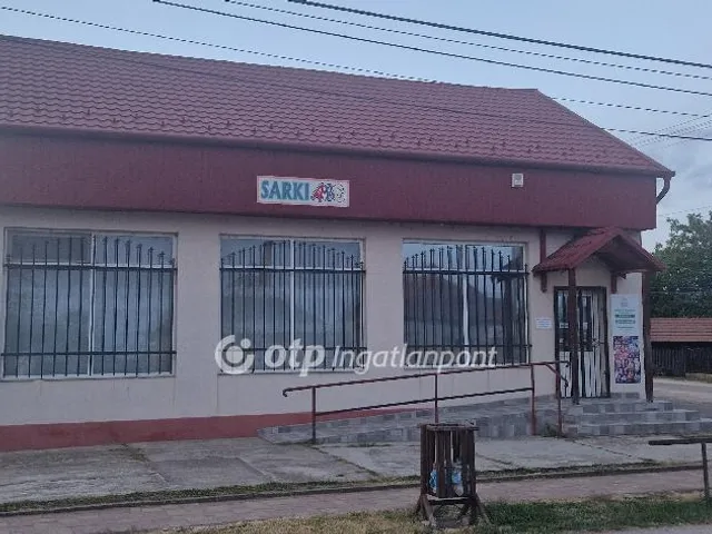 Eladó kereskedelmi és ipari ingatlan Igrici 140 nm