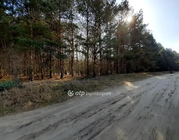 Eladó telek Kecskemét, Katonatelep 70225 nm