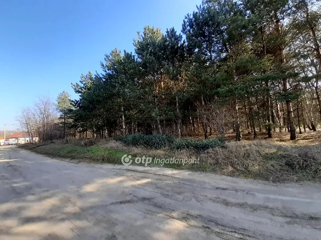Eladó telek Kecskemét 31327 nm