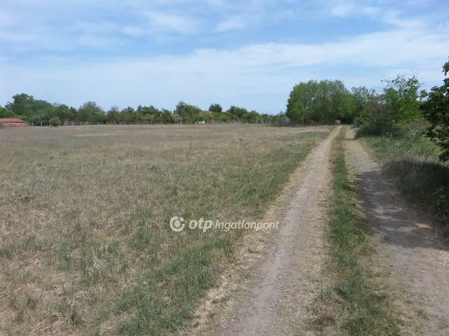 Eladó telek Kecskemét 6195 nm