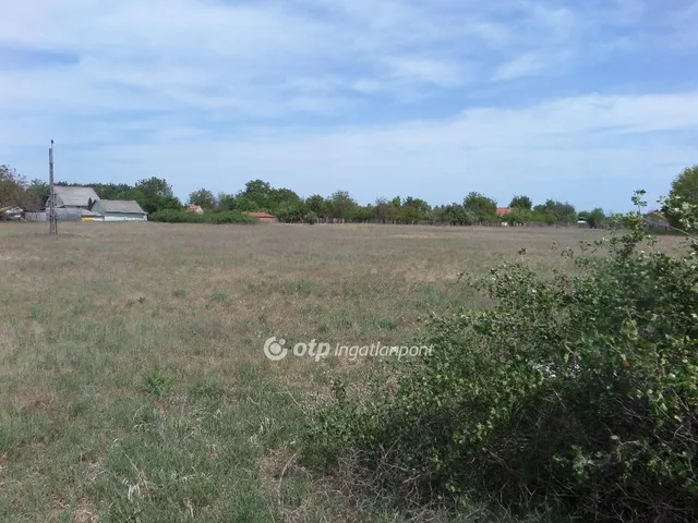 Eladó telek Kecskemét 6195 nm