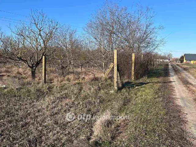 Eladó mezőgazdasági ingatlan Kecskemét 21834 nm