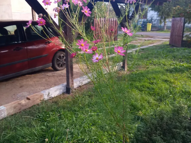 Eladó ház Pétervására 70 nm