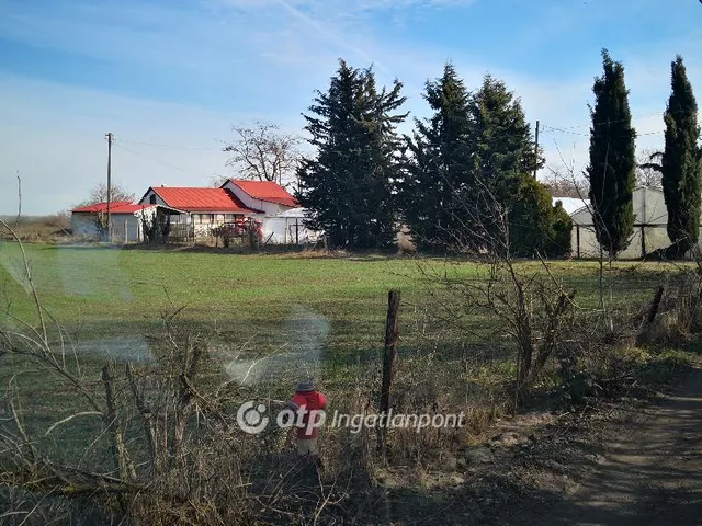 Eladó mezőgazdasági ingatlan Kecskemét 21600 nm