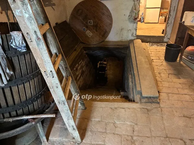 Eladó mezőgazdasági ingatlan Szigetvár 2495 nm