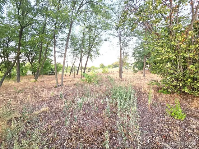 Eladó telek Kecskemét 5740 nm