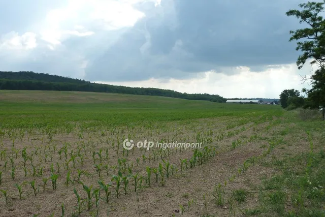 Eladó telek Isaszeg 13937 nm