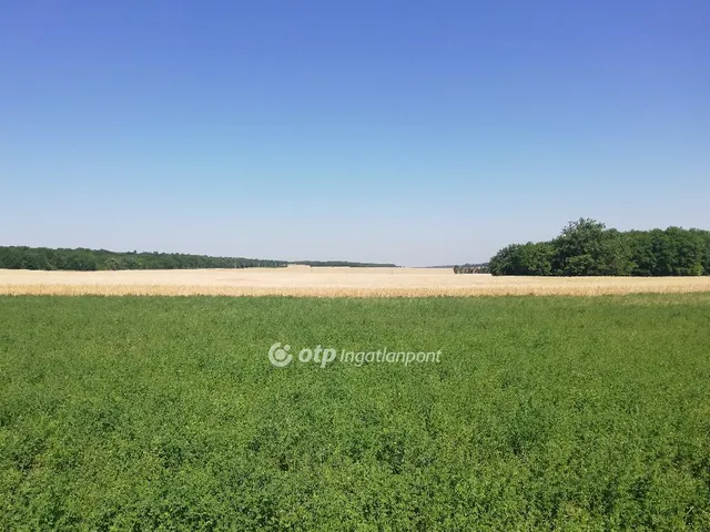 Eladó mezőgazdasági ingatlan Sülysáp 11085 nm