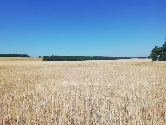 Eladó mezőgazdasági ingatlan Sülysáp 68922 nm