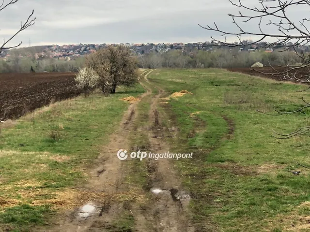 Eladó mezőgazdasági ingatlan Csömör 6704 nm