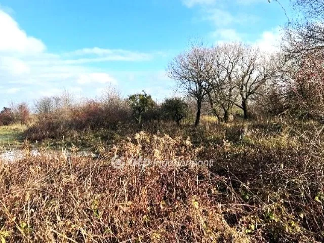 Eladó telek Tés 19443 nm