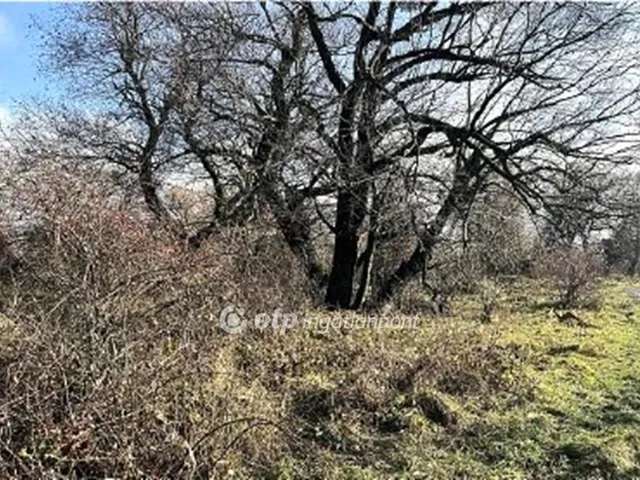 Eladó telek Tés 19443 nm